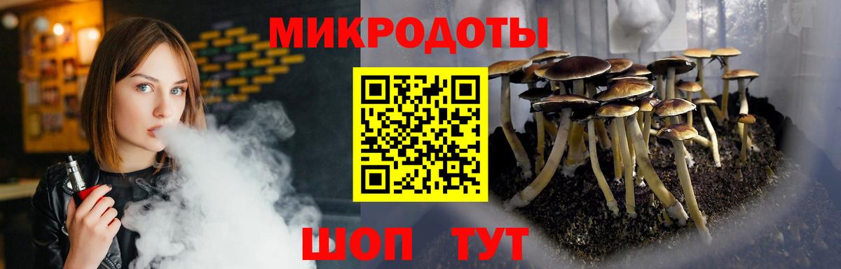 Стерлитамак  Галлюциногенные грибы мицелий  Вход с VPN  купить наркотики сайты  Галлюциногенные грибы Psilocybe 